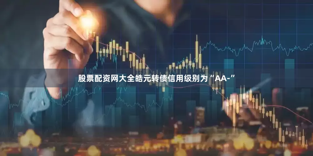 股票配资网大全皓元转债信用级别为“AA-”