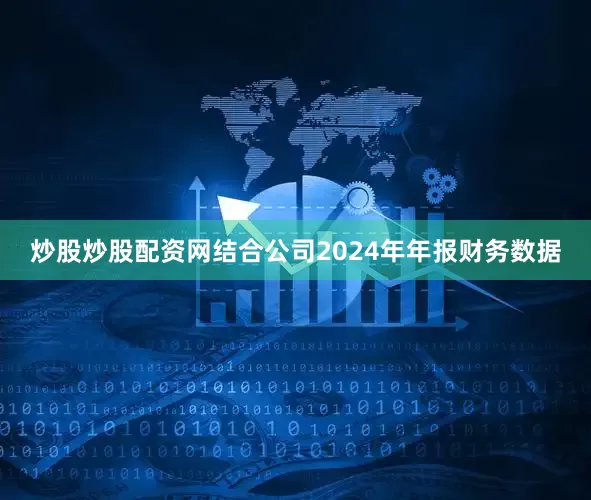 炒股炒股配资网结合公司2024年年报财务数据