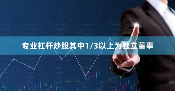 专业杠杆炒股其中1/3以上为独立董事