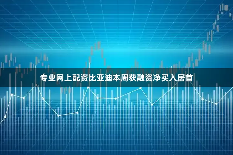 专业网上配资比亚迪本周获融资净买入居首