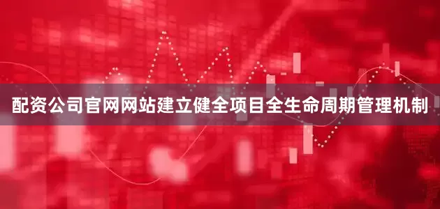 配资公司官网网站建立健全项目全生命周期管理机制