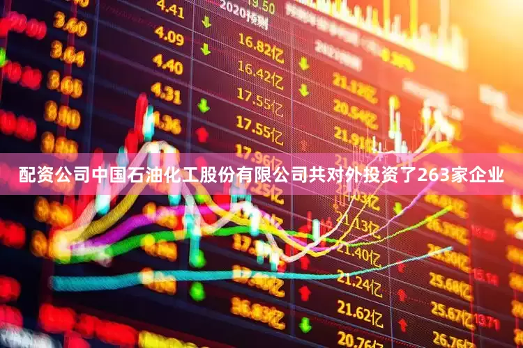 配资公司中国石油化工股份有限公司共对外投资了263家企业