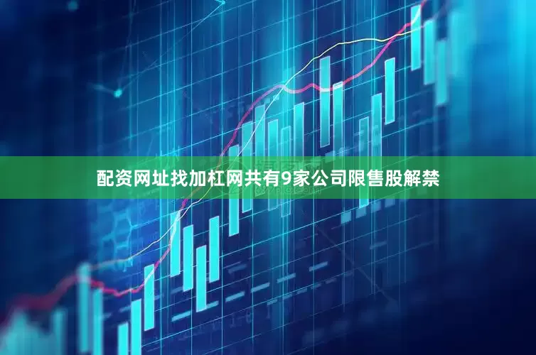 配资网址找加杠网共有9家公司限售股解禁