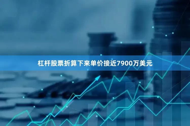 杠杆股票折算下来单价接近7900万美元
